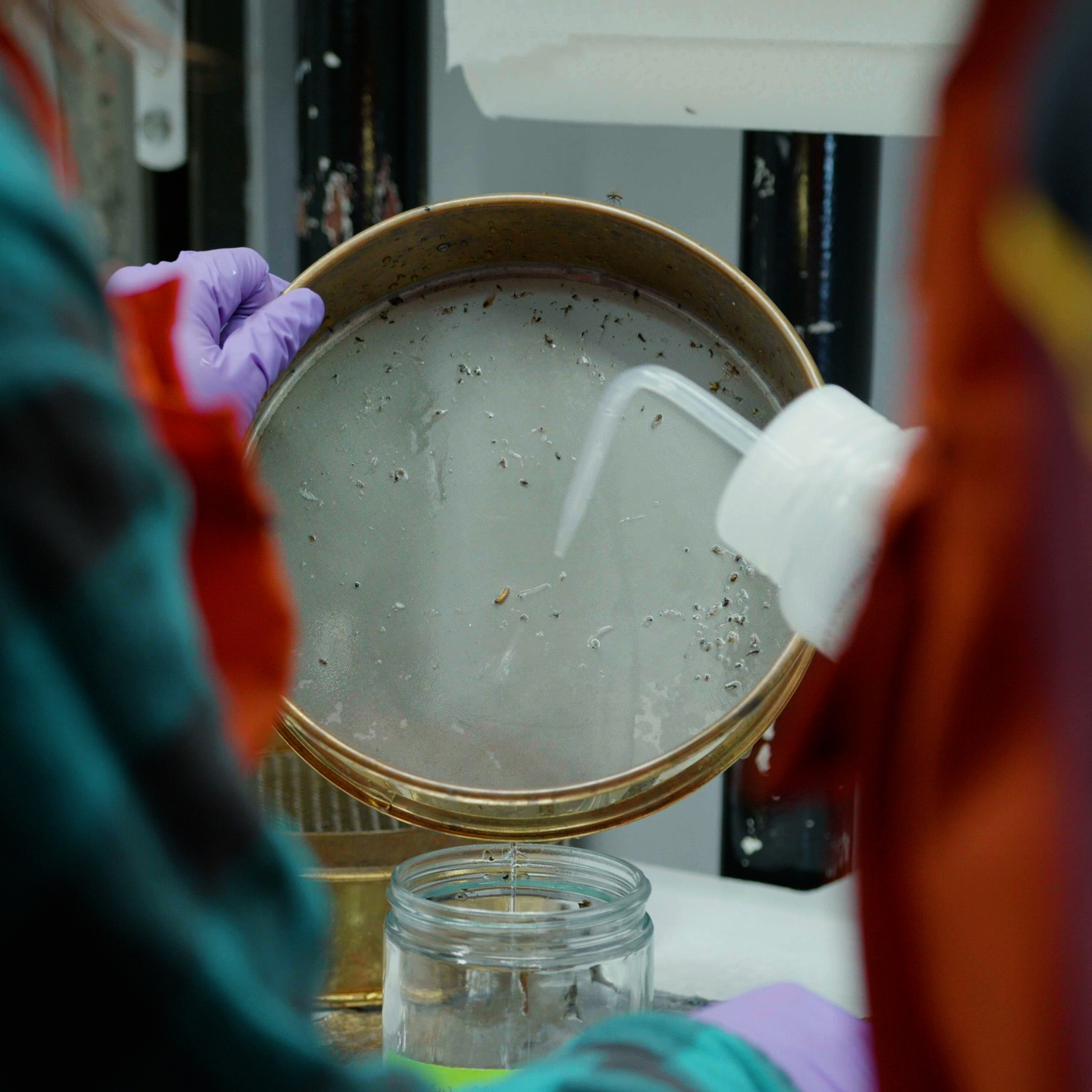 Researchers filtering materials through a sieve.  