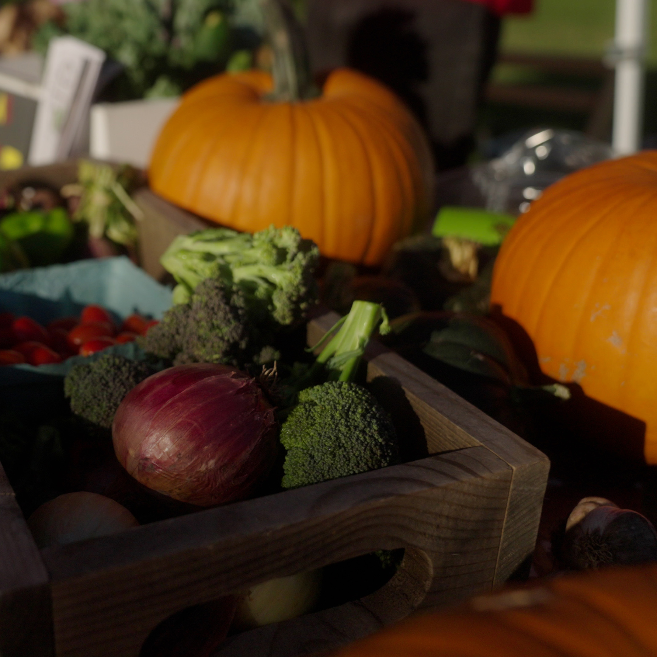 Close up image of produce at a food stand. Pumpkins, broccoli, and onions. 