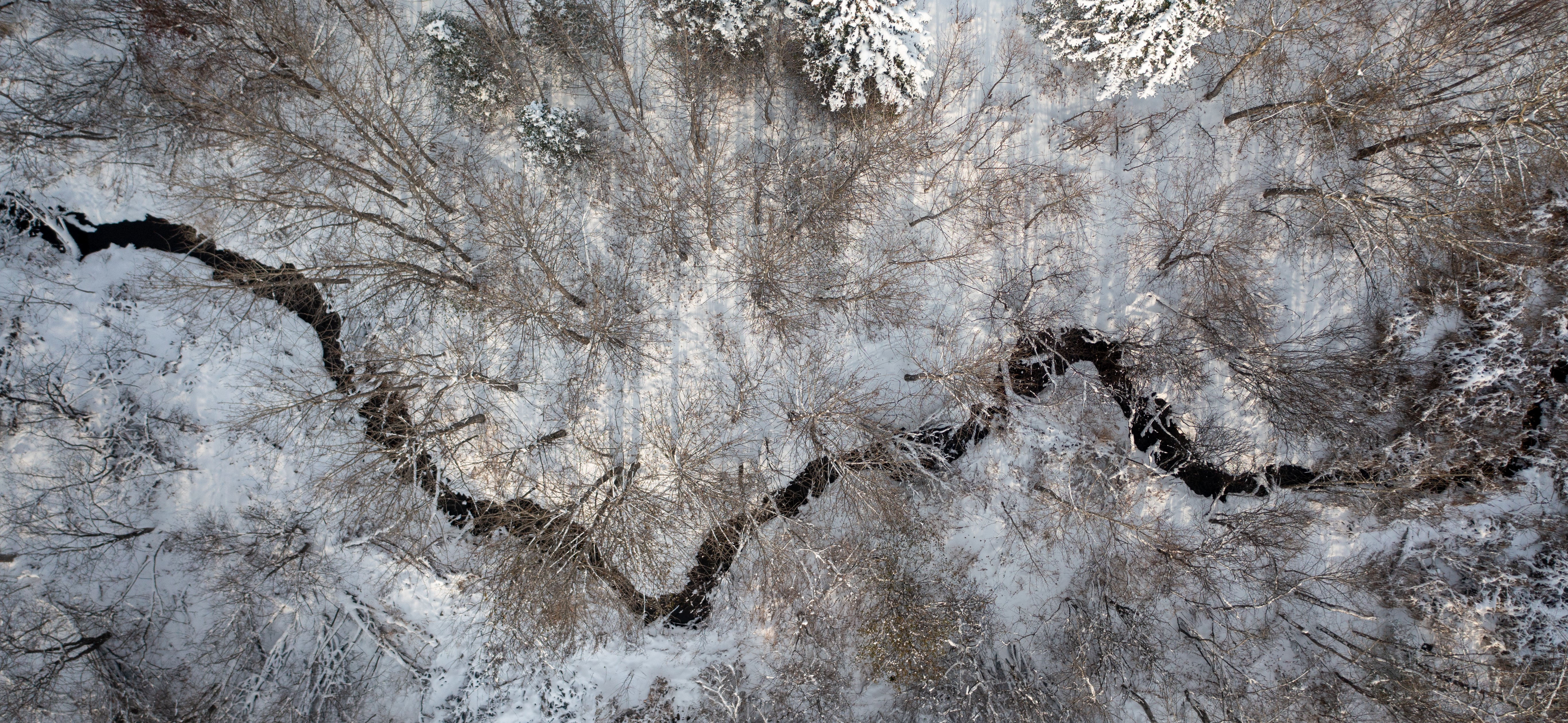 A photo of freshly-fallen snow with a stream and trees taken from directly above