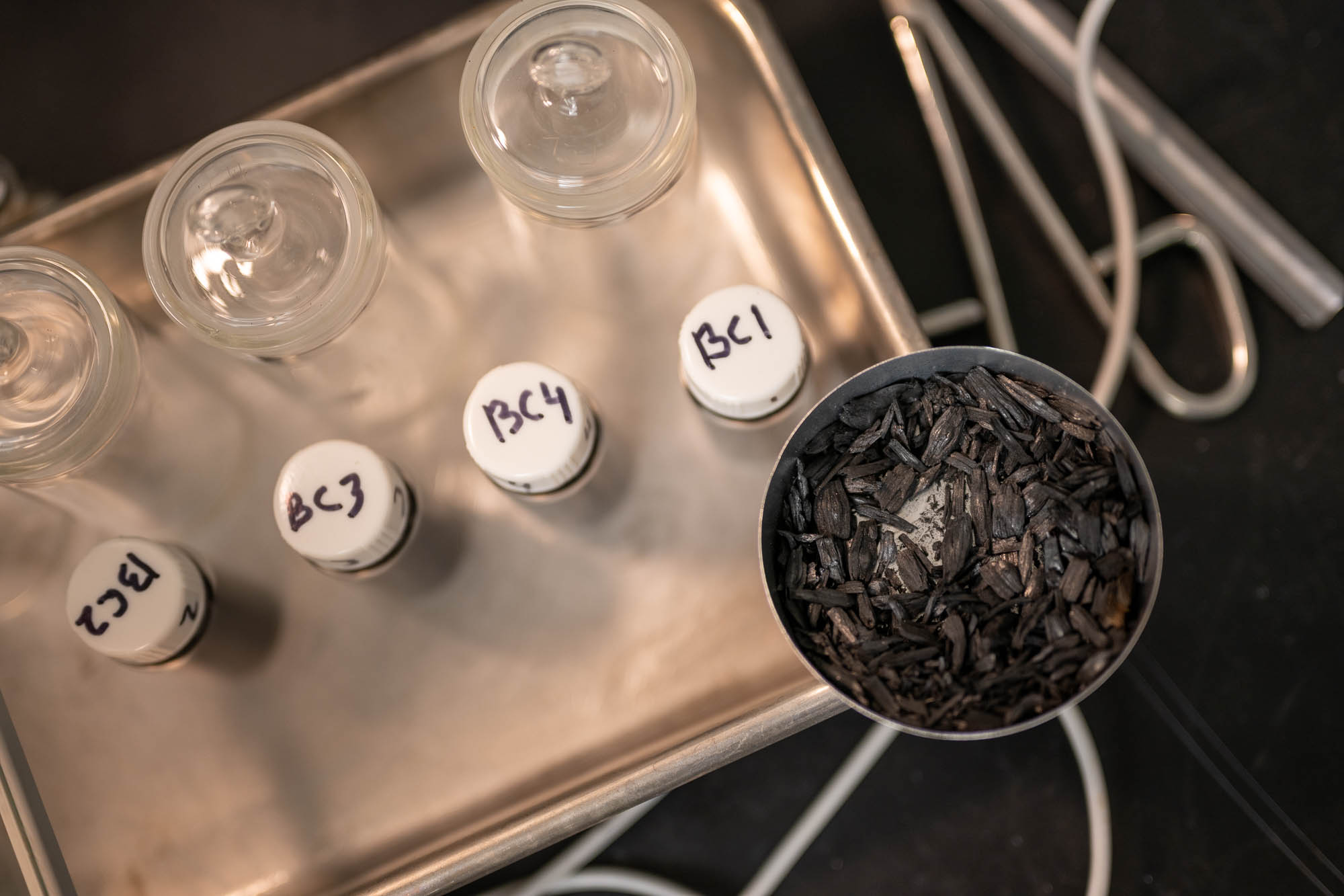 Biochar samples in test tubes hang out behind a larger sample in a petrie dish